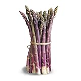 SAVINI VIVAI L'ARTE DI FARE NATURA