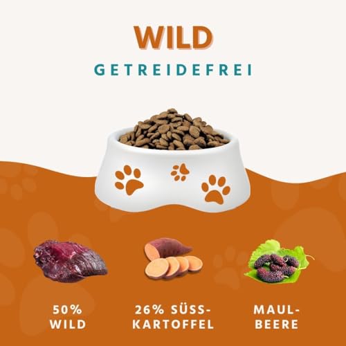 Wildfang® Hundefutter - Trocken - Getreidefreies Hundefutter - Premium Trockenfutter (2 kg, Wild mit Süßkartoffel mit Maulbeere)