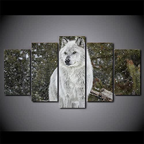 Quadro Su Tela 5 Pezzi Quadro Su Tela Animale 5 Pezzi Opere D\'Arte Moderna Su Tela Immagini Dipinti Su Tela Arte Murale Per Soggiorno Decorazioni Per La Casa Regalo Di Festival (Senza C-8E7X+L1F