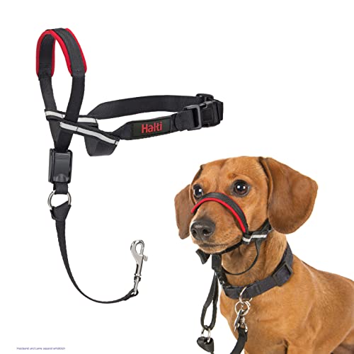 HALTI Optifit Kopfgeschirr, Größe Klein- Verhindert, dass Ihr Hund an der Leine zieht, Einfache Anpassung, Leicht, mit gepolstertem Nasenriemen, Anti-Zug-Halsband für kleine Hunde