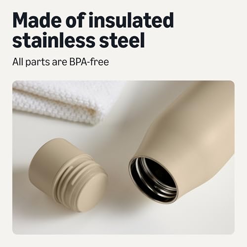 Image of Amazon Basics Insulated Stainless Steel Water Bottle, Leak-Proof, Double-Wall, 20 oz., BPA-Free, Linen Gray