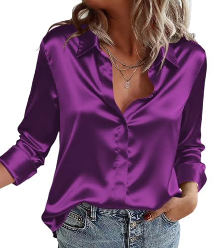 Zeagoo Vneck Blouse for Women Long Sleeve Silk Button Down