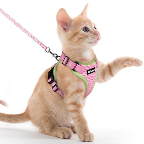 Image of rabbitgoo Cat Harness and Leash Set, Escape Proof Vest, Pink & Light Green