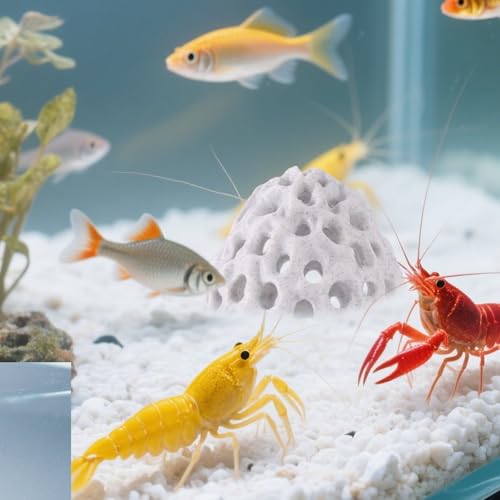 Image of Shrimp Dome Hide, Plastic Porous Designed Aquarium Dome Hide Cave Shelter Hideout with Suction Cup Aquarium Decor Fish Tank Accessories for Small Fish Shrimp Guppy Hiding House Resting(White)