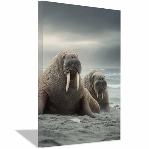 Poster océan éléphant de mer décoration murale toile chocolat brun chambre maison 20x30