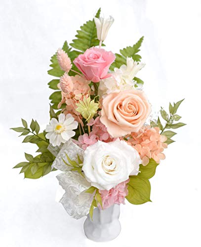 [veB }[Ch] vU[uht[  vU d     AWg   Ȃ Mo蓍F vU 1 sN