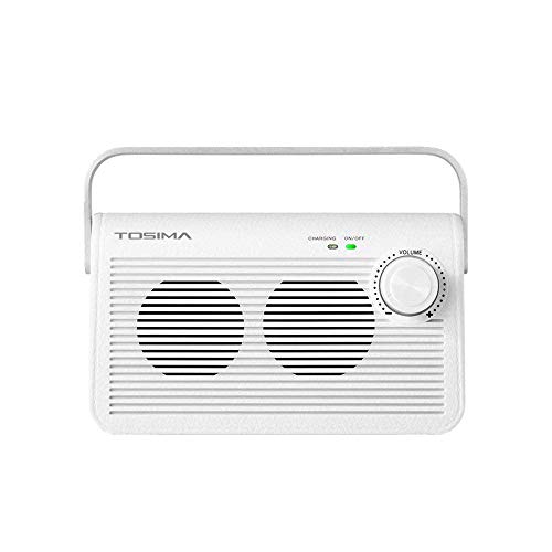 Best Tv Speakers For Elderly 10Reviewz