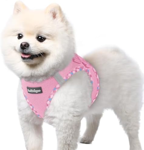rabbitgoo Hundegeschirr Kleine Hunde, Step-in Weiches Mesh, Rosa Plaid Trim | Einfach anzulegen, Atmungsaktiv & Reflektierend, Ausbruchsicher mit Sicherheitsverschluss für Kleine H
