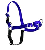 PetSafe Easy Walk Harness,  Petite/Small, DEEP PURPLE/BLACK for Dogs