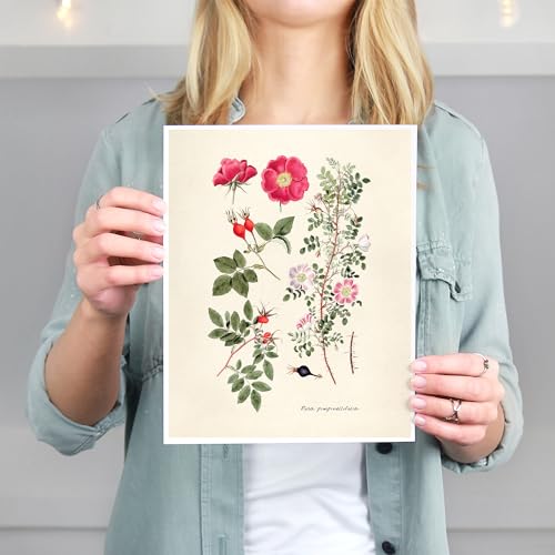 Dream Big Printables Vintage Roses Wall Art Prints thumb #2
