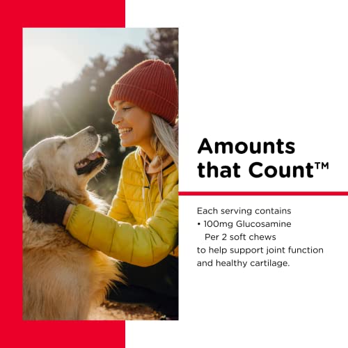 Nutri-Vet Hip & Joint Soft Chews For Dogs | Regular Strength | 60 count | 5.3 ounces - Thumbnail 4