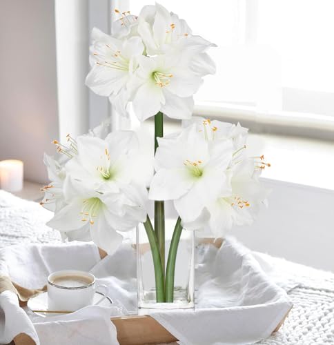 Villa Como 造花 アマリリス 3本 幅15CM 仏花 お盆 花束 アートフラワー インテリア クリスマス プレゼント 母の日 敬老の日 新築祝い 開店祝い (白い) [4]
