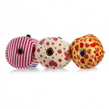 Pakhuis Amaca per Rat Hamster Coniglio Squirrel