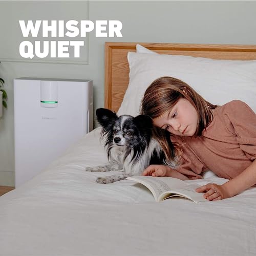 Hathaspace Smart True HEPA- Luftreiniger 2.0 für extra große Räume mit H13 HEPA- Filter, 5- in- 1 Luftreiniger bei Allergien, Asthma, Haustieren, Gerüchen, Rauchern, ca. 140 m² Abdeckung- HSP002-6