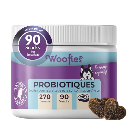 Probiotiques Friandises digestives pour Chiens – 90 pièces – Renforce la Flore intestinale et améliore Le système immunitaire – Ingrédients 100% naturels Prébiotiques (Bœuf)