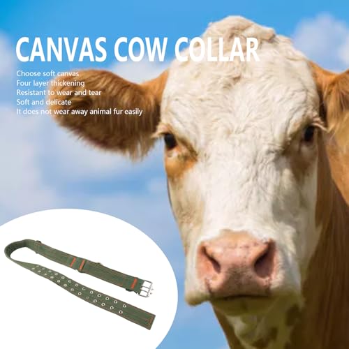 Kuhhalsband, Verstellbares 4-lagiges Canvas Kalbskragen Krawatte Rinderhalsband Halsband mit 2 Reihen Metallschnalle für Pferdeschaf Rinder(#2)