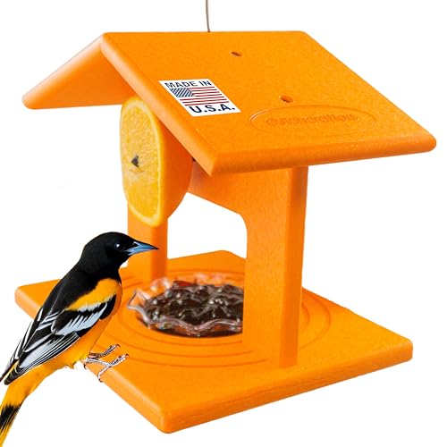DutchCrafters Plastic Poly Hanging Orange Oriole Bird Feeder with Grape Jelly Cup and Fruit Slice Holders, Baltimore Oriole Feeder for Outdoor Outside (Orange, Single Cup)
