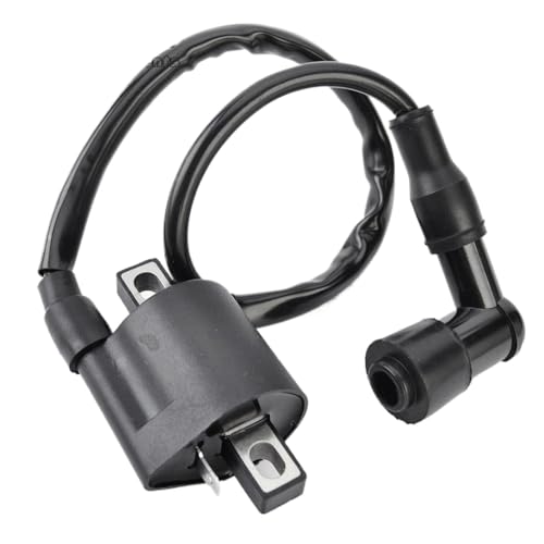 Motorcycle Ignition Coil Assy 12V Compatible With Automotive Motorcycle Parts YFM400 Kodiak 400 2X4 YFM350 Big Bear 350 4X4 TTR110 TTR125 TW125 TTR125R 8K1927225B 1G724-97012