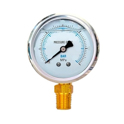 Manomètre YN-60 600 bar pour éliminer les erreurs de lecture de pression