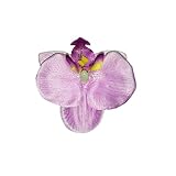 Portable : la pince à cheveux est de petite taille et légère, ce qui permet de l'emporter facilement pour une fête en plein air