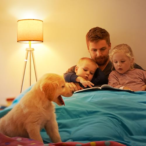 Home Page - Paul - Cosy Home Interiors