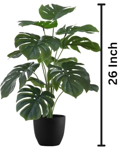 Image of Dekorly Fake Plants Artificial Floor Plants Large Tropical Palm Tree Monstera in Pot Faux Trees for Indoor Outdoor Home (Monstera | Black Pot, Pack of One)