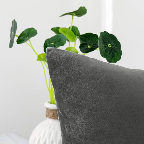 Image of 5 Piece Holland Velvet Cushion Covers, 22x22 inch, Grey | Soft Solid Decorative Throw Square Pillow Cases Modern Luxury Home Decor for Couch Sofa Bedroom Livingroom