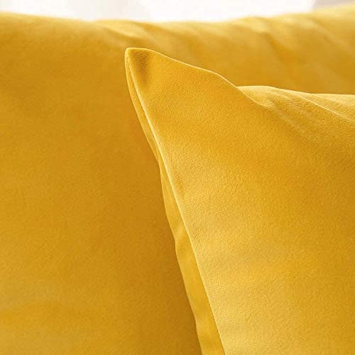 Image of Decorative Holland Velvet Cushion Square Pillow Covers Pillowcases for Sofa Bedroom with Invisible Zipper || (Yellow, Set of 5 Piece (16X16 Inches)