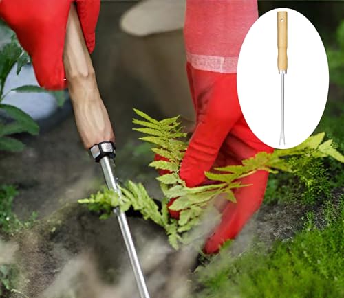Set de 5 piezas para jardín acero inoxidable miniatura 4