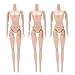 SUPVOX giunture Bambola Stampo Bambola Bambola 12 Giunti mobili Giocattoli Senza Testa Femminile Figura Bambole Corpo Nudo Giocattolo 3pcs