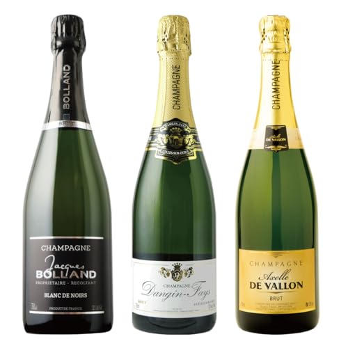 VpZbg h R{ ppB̉hA_̎fڃVp[j|[E_WEGEtBX A.S.IE\GRN[̏҃pIob\R^ MhEAVFbgɂ10NA̖fڂĂ ͔h̃]AANZ