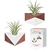 Air Plant Holder,2 Pack Tillandsia Holder Triangle Geometric Air Plant Holders Container Tabletop Stand Vase Pot with Magnet for Hanging Small Air Plants Indoor Wall Home Decor