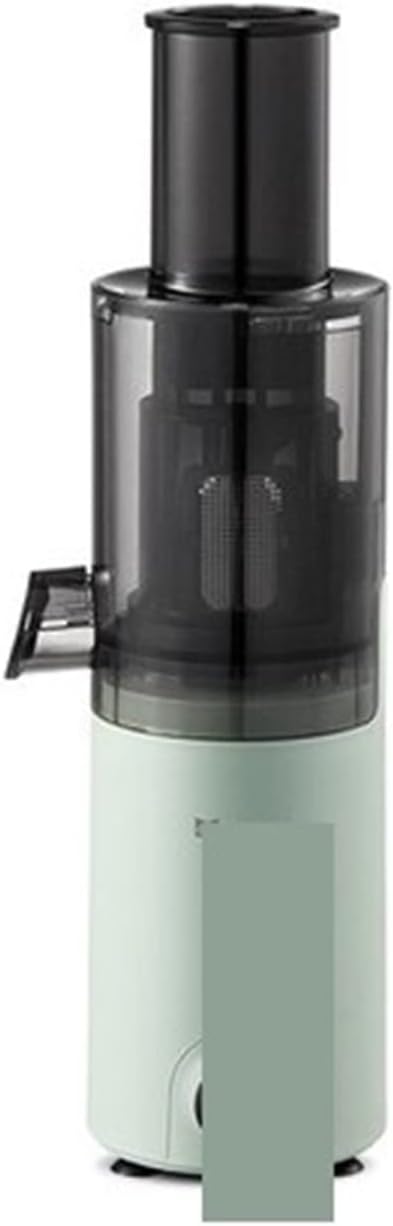 Juicer raw Juice slag Separation Household Commercial Small Large-Caliber Fried Fruit Automatic Slow Grinding (Color : Silver Grey, Size : E_220V) (Forest Green E_220V)