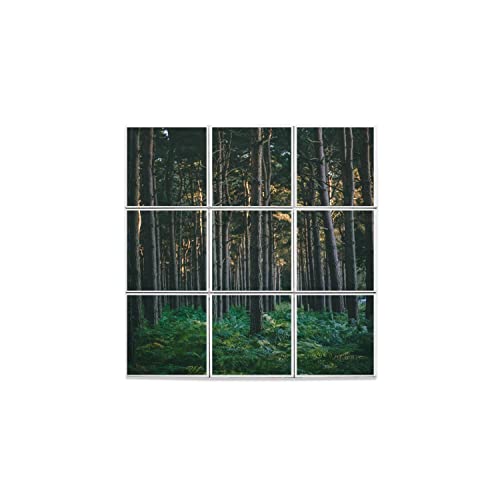 Carreaux céramique décoratif premium forêt de pins couverte de fougères x9