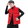Gilet gewatteerde jas winter opstaande kraag vest heren jas donsjack katoenen vest dik warm vest, rood, M