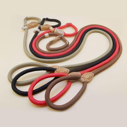 Laisse VOCUE en usage extérieur avec chien