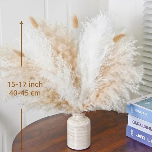 Pampas Grass ramo decorativo seco 45-50cm 5 piezas miniatura 2