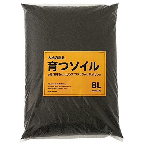 ANAeC[Y ňb \C m[} Wk  ANAE _