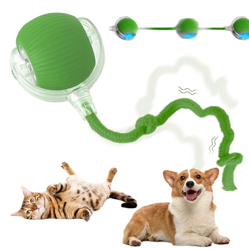 JUNENTER インタラクティブ ローリング キャット ドッグ ボール 2025年アップグレード 自動犬用おもちゃ インタラクティブ キャット おもちゃ 360° スマート ローリング ボール おもちゃ 犬/猫用 電動ボール (グリーン)(Green)