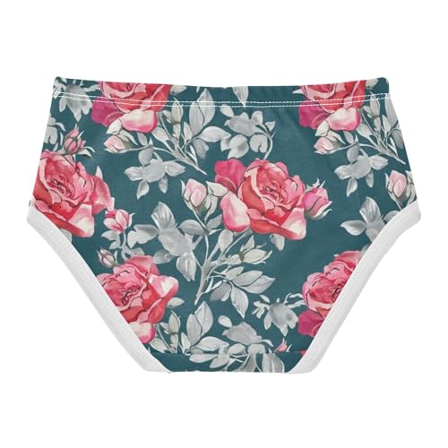 Cotton Girls Underwear Toddler Pink Roses Gray Leaves Dark Teal Little Girl Panties Aesthetic Undies Kids Briefs 2t2