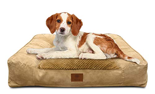 American Kennel Club Tan Memory Foam Extra Large Sofa Dog Pet Bed, Tan Popcorn Fur, Model: Akc-1882 Tan #TOP4
