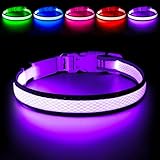 LED Dog Collar, Light Up Dog Collar USB Rechargeable, Brightest Dog Lights for Night Walking, Adjustable Dog Collar Light for Dog Safety (Purple, Medium)