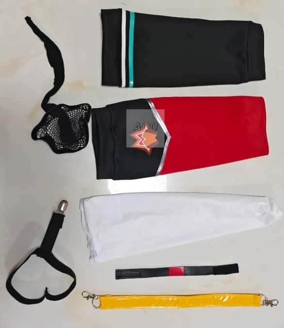 特警ウインスペクター アマダ P.P.カード 30枚セット 当時物