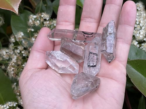 Enhydro Crystal Starborn inclusion fluide mobile quartz authentique lithothérapie - 2