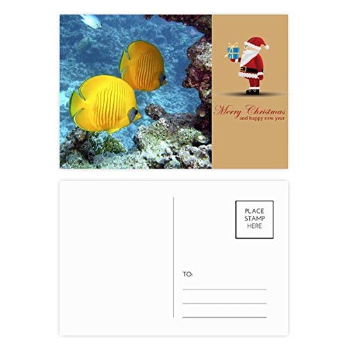 Cartes postales poissons océan lot de 20 pour vos souvenirs de vacances