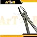 MD2 Molar Extraction Forceps for Upper Molars, First, Second, & Third Wisdom Teeth Extratcion Pliers - Dental Instruments German Steel