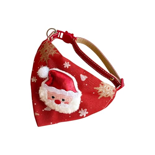 NX}X L p RX`[ , \ ybg hXAbv ߑ, NX}X  p o_i, Ƒ W ʐ^ Be [ vC ptH[}X p