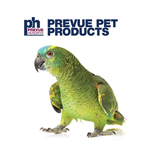 Image of Prevue Pet Products Small Parrot Playstand with Wheels, Bird Stand Activity Play Center with Perches and Ladders, Indoor Outdoor Playground for Birds with Swing, Black Hammertone Finish