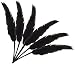 Touch of Nature 38204 Indian Feather, 7 to 8-Inch, Black