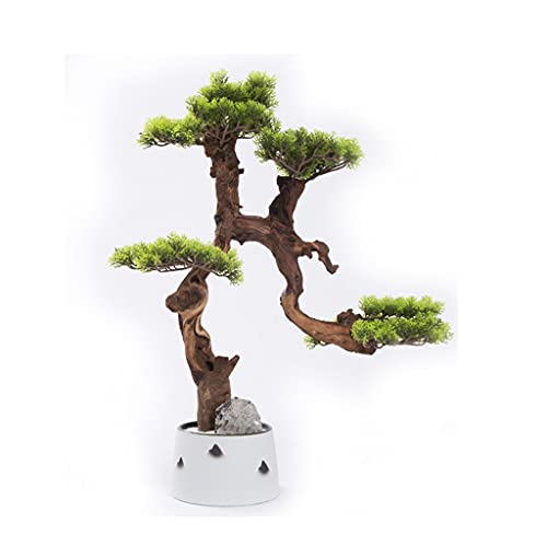 tFCNA lH~   Aؔ AȃVR t @ׂȓVR}̎  rO[ ItBX  lH